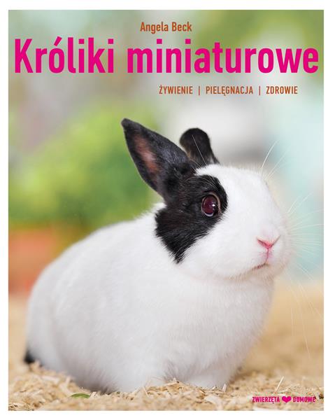 KRÓLIKI MINIATUROWE