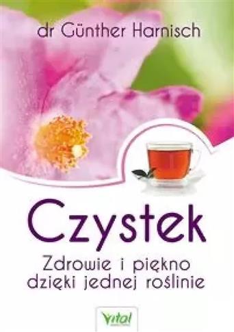 CZYSTEK