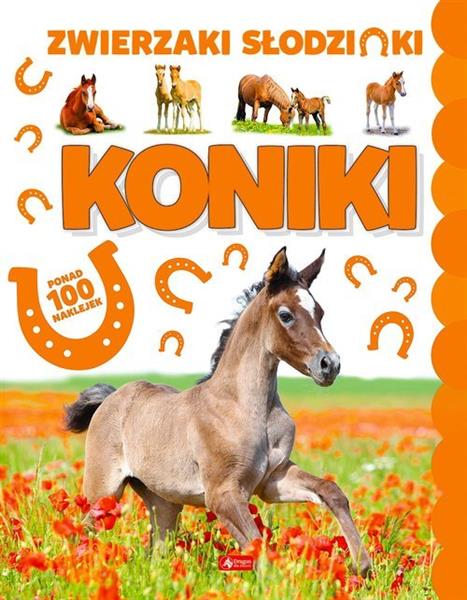 KONIKI. PONAD 100 NAKLEJEK