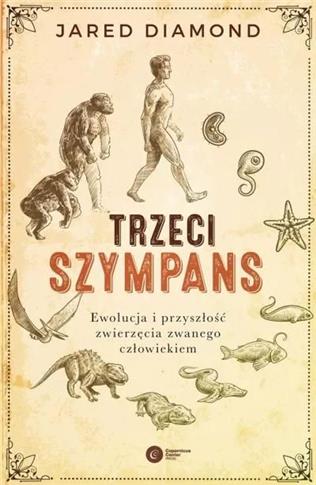 TRZECI SZYMPANS