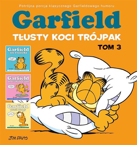 GARFIELD. TŁUSTY KOCI TRÓJPAK. TOM 3