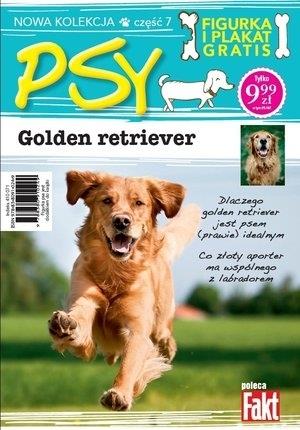 Golden retriever. Kolekcja Psy. Część 7