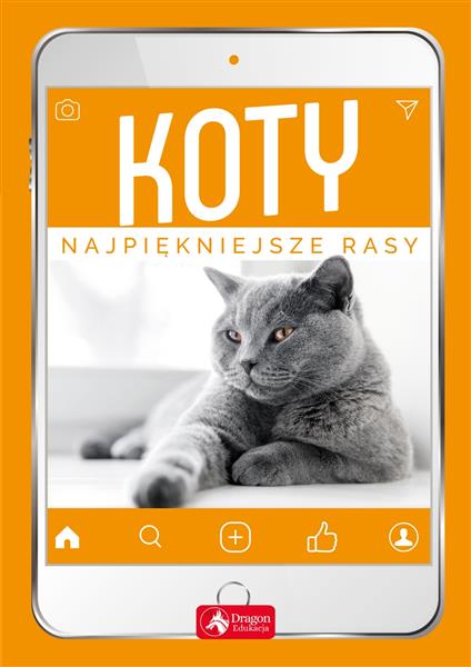 KOTY NAJPIĘKNIEJSZE RASY