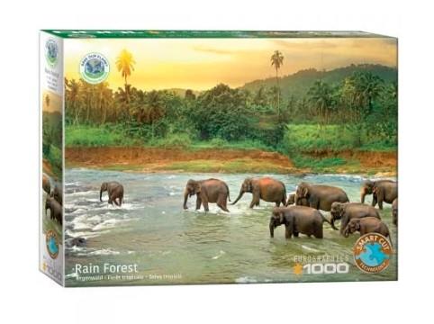 EuroGraphics, puzzle, Słonie, 1000 el.