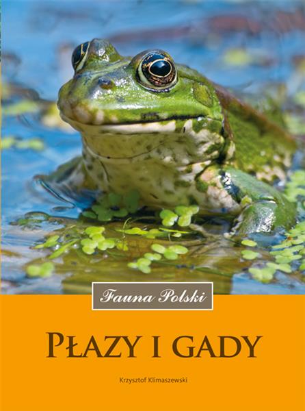 FAUNA POLSKI. PŁAZY I GADY