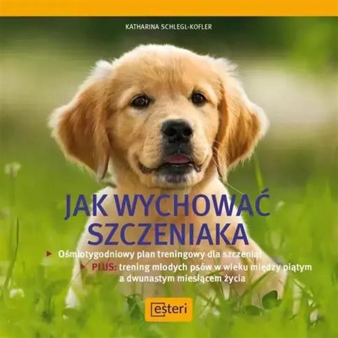 JAK WYCHOWAĆ SZCZENIAKA