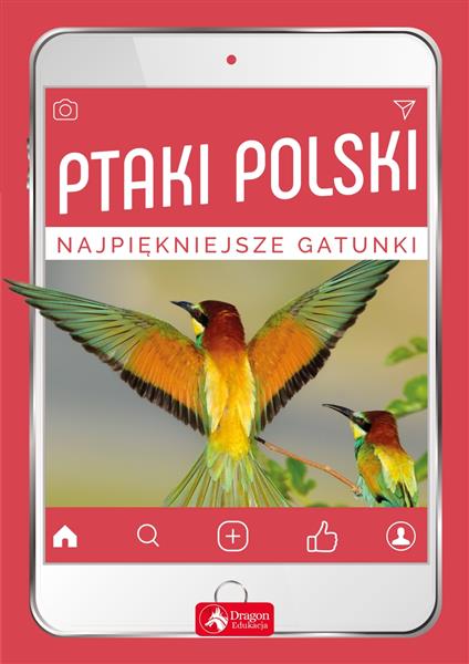 PTAKI POLSKI NAJPIĘKNIEJSZE GATUNKI