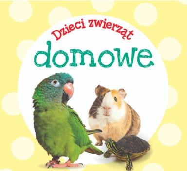 DZIECI ZWIERZĄT - DOMOWE