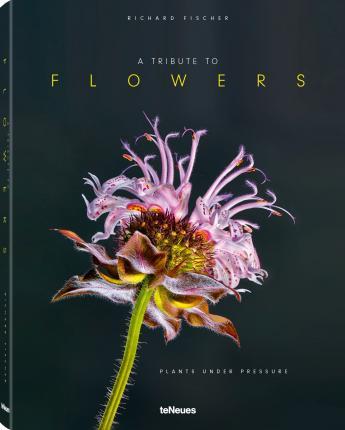 A TRIBUTE TO FLOWERS : PLANTS UNDER PRESSURE