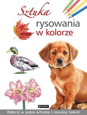 SZTUKA RYSOWANIA W KOLORZE