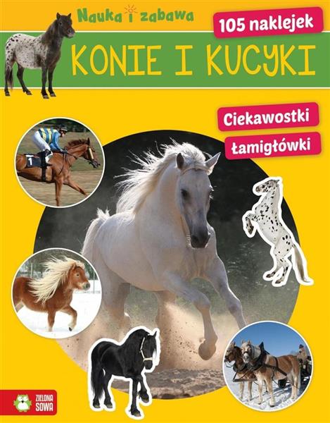 NAUKA I ZABAWA NW. KONIE I KUCYKI NOWE