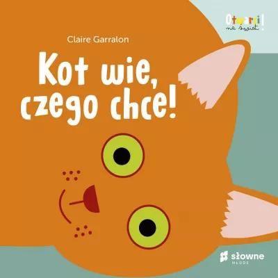 Otwarci na świat. Kot wie, czego chce!