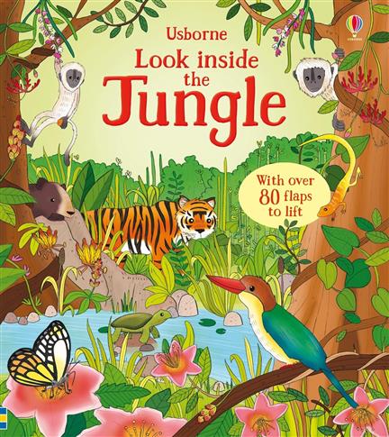 Look Inside the Jungle