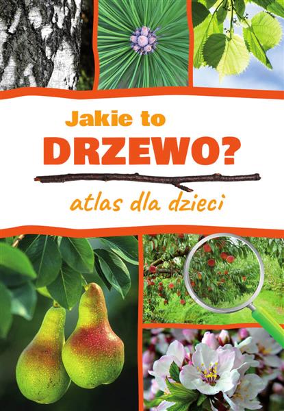 JAKIE TO DRZEWO? ATLAS DLA DZIECI