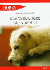 DLACZEGO PIES SIĘ DRAPIE?