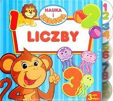 NAUKA I ZABAWA LICZBY