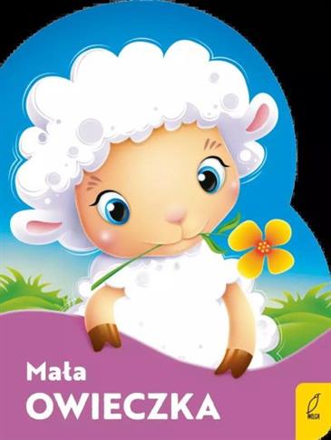 WYKROJNIK. MAŁA OWIECZKA