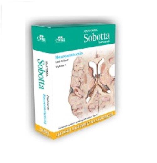 ANATOMIA SOBOTTA FLASHCARDS NEUROANATOMIA