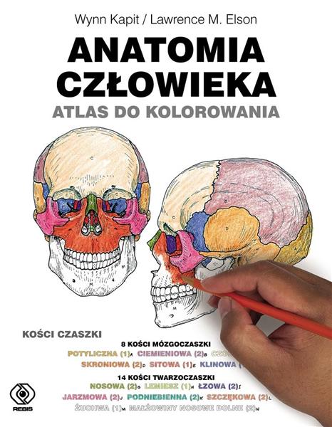 ANATOMIA CZŁOWIEKA ATLAS DO KOLOROWANIA