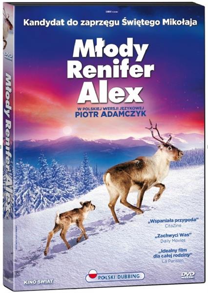 MŁODY RENIFER ALEX, DVD
