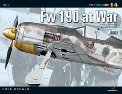 FW 190 AT WAR PART I