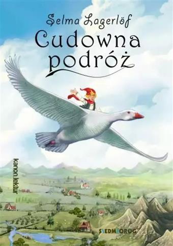 Cudowna podróż