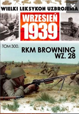 Rkm browning wz. 28