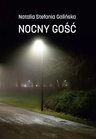 Nocny gość