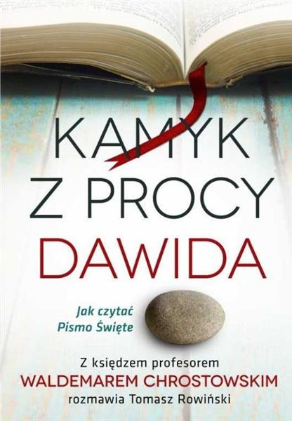 KAMYK Z PROCY DAWIDA. JAK CZYTAĆ PISMO ŚWIĘTE