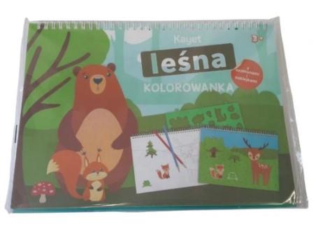 Malowanki Kolorowanki książeczka aktywności LEŚNA
