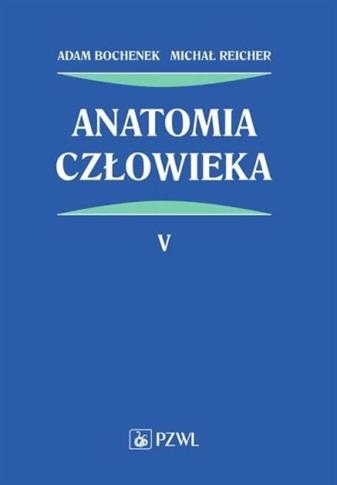 Anatomia człowieka. Tom 5