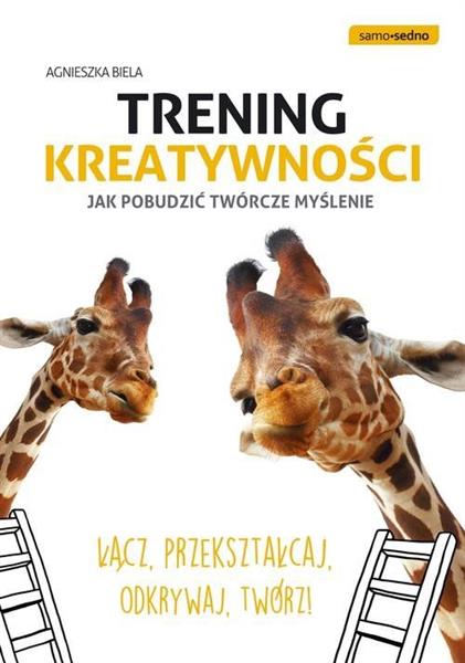 TRENING KREATYWNOŚCI. JAK POBUDZIĆ TWÓRCZE MYŚLENI