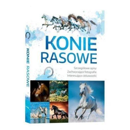 KONIE RASOWE  NOWA