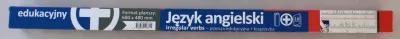 Czasowniki nieregularne. Język angielski. Plansza