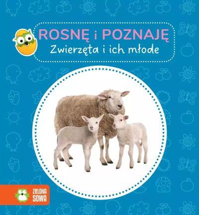 ROSNĘ I POZNAJĘ. ZWIERZĘTA I ICH MŁODE