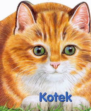 KOTEK