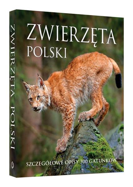 Zwierzęta Polski-31276