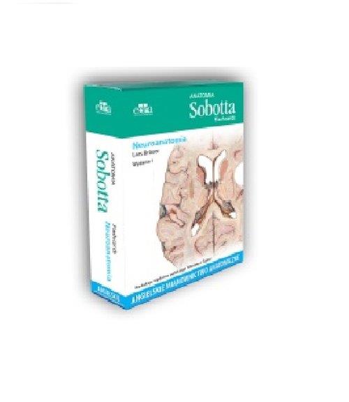 ANATOMIA SOBOTTA FLASHCARDS NEUROANATOMIA