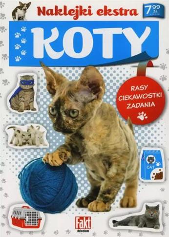 Koty