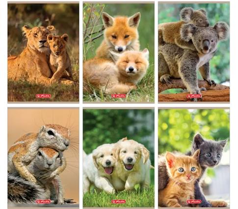 ZESZYT A5 32K W 3 LINIE KOLOROWE ANIMALS MIX