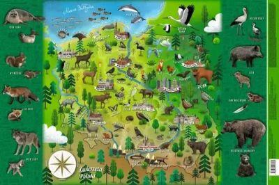 PODKŁADKA MAPA POLSKI ZWIERZĄTKA. MAPPUZZLE JUNIOR
