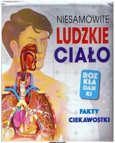 NIESAMOWITE LUDZKIE CIAŁO ROZKŁADANKI