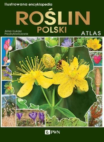 ILUSTROWANA ENCYKLOPEDIA ROŚLIN POLSKI