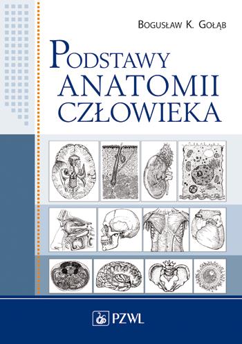 PODSTAWY ANATOMII CZŁOWIEKA