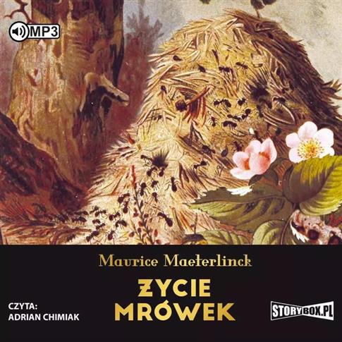 Życie mrówek. Audiobook