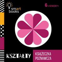 KSIĄŻECZKA POZNAWCZA KSZTAŁTY 6 M+