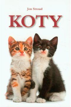 KOTY