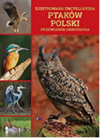 Ilustrowana encyklopedia ptaków Polski. Przewodnik