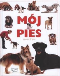 MÓJ PIES