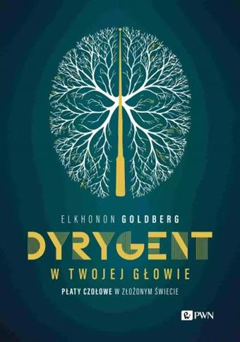 DYRYGENT W TWOJEJ GŁOWIE. PŁATY CZOŁOWE W ZŁOŻONYM